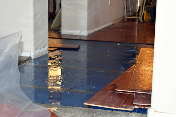 Professional Water Damage Restoration technician working in Morley, MI